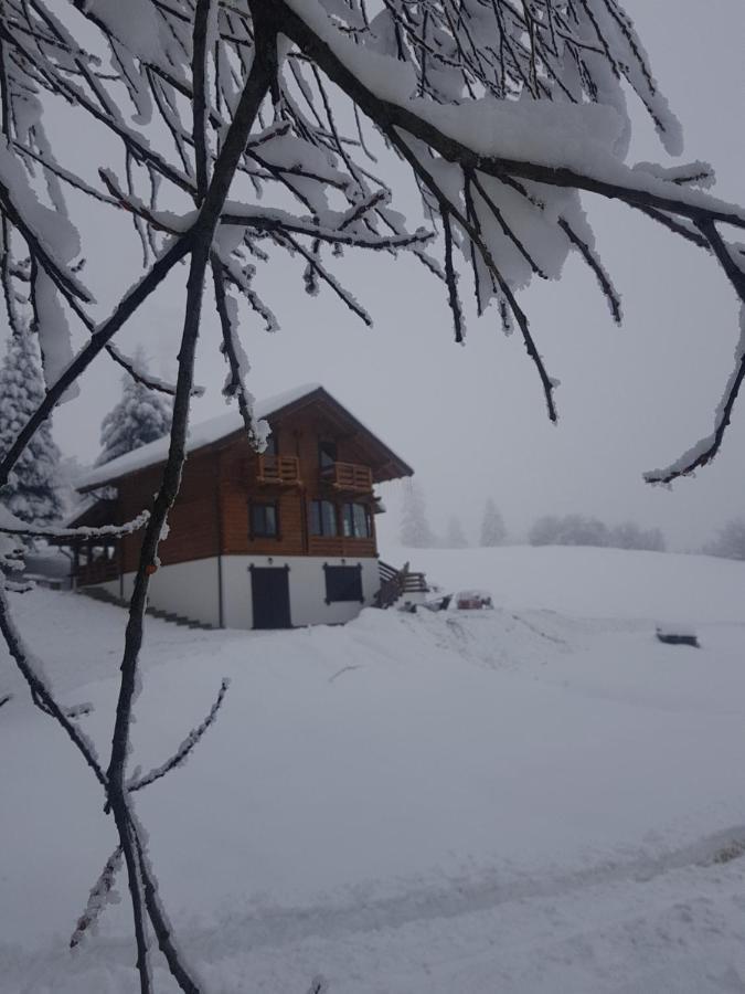 Tulean Cabin Săcel Εξωτερικό φωτογραφία