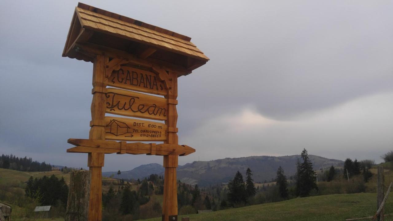 Tulean Cabin Săcel Εξωτερικό φωτογραφία