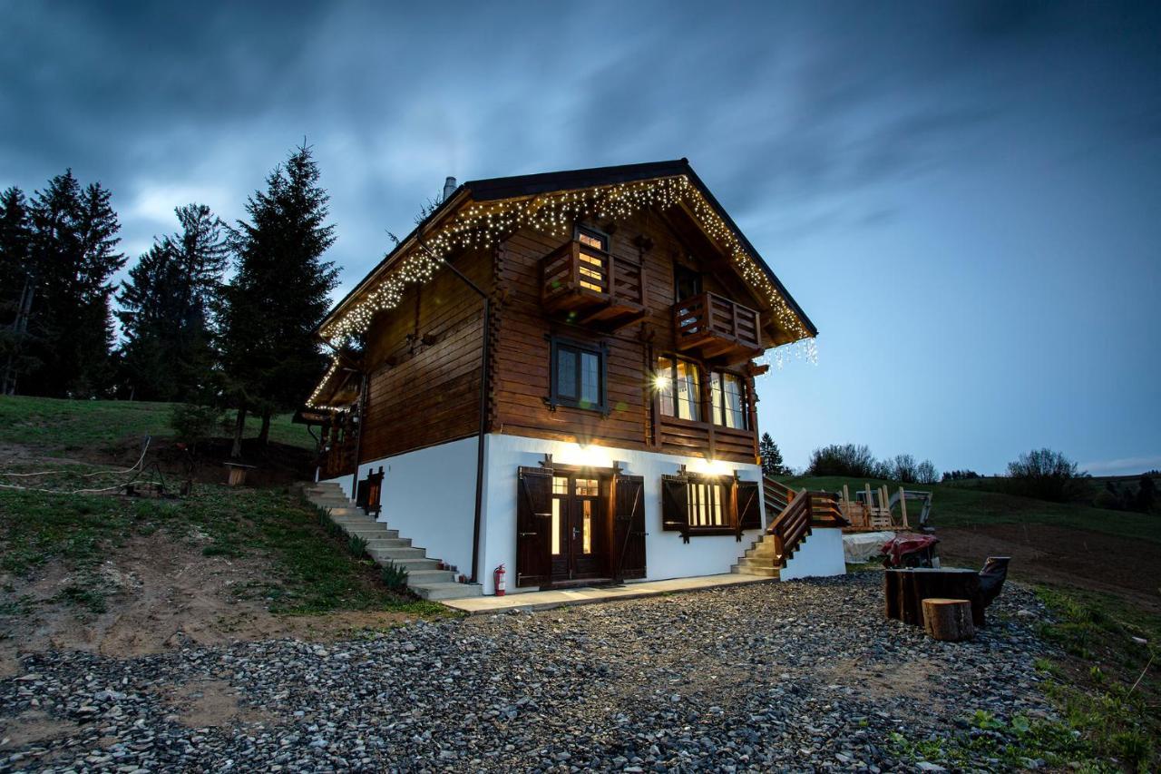Tulean Cabin Săcel Εξωτερικό φωτογραφία