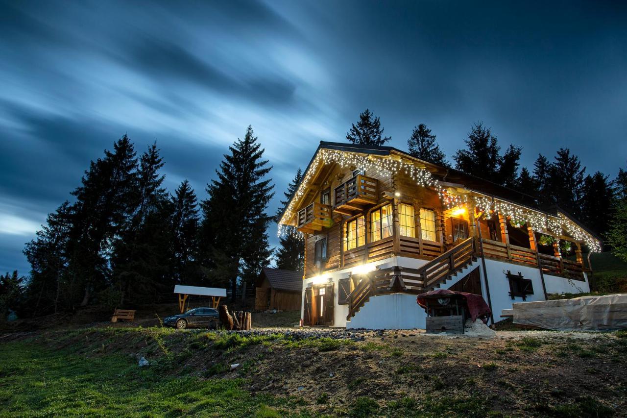 Tulean Cabin Săcel Εξωτερικό φωτογραφία