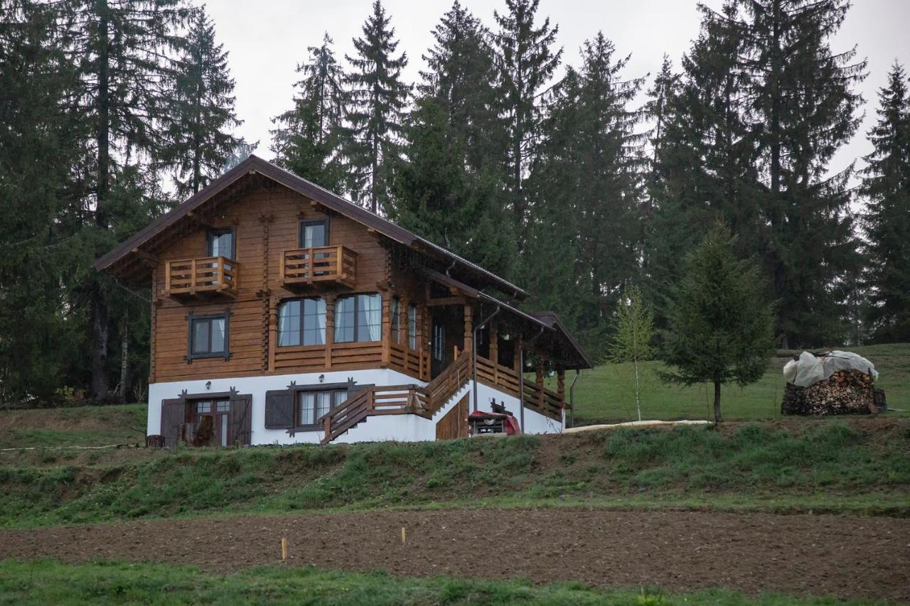 Tulean Cabin Săcel Εξωτερικό φωτογραφία