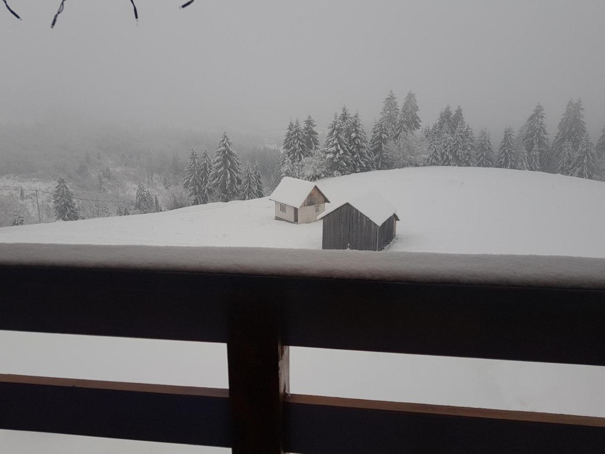Tulean Cabin Săcel Εξωτερικό φωτογραφία