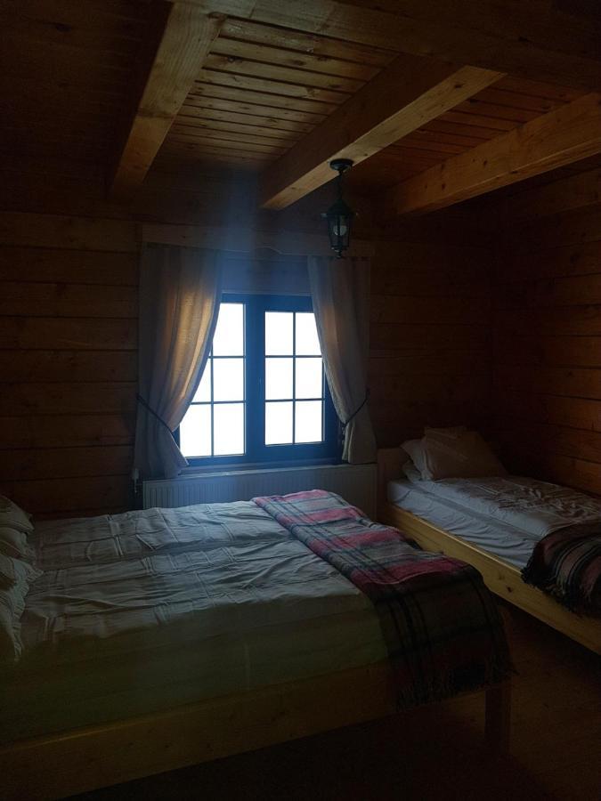 Tulean Cabin Săcel Εξωτερικό φωτογραφία