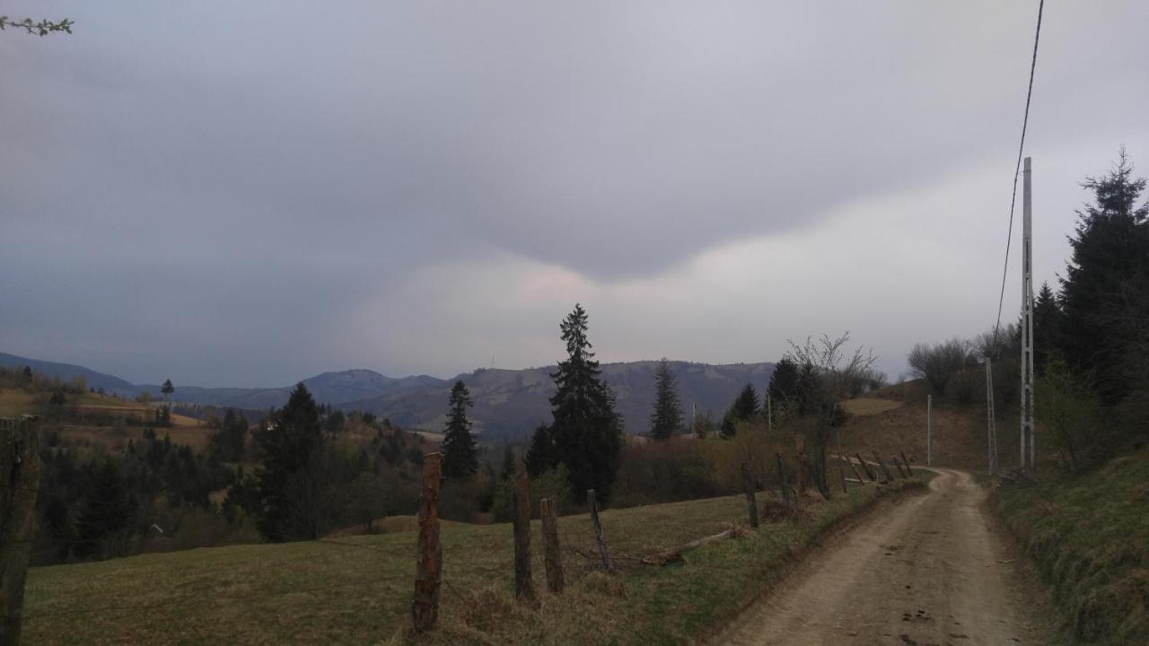 Tulean Cabin Săcel Εξωτερικό φωτογραφία