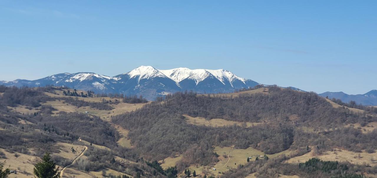 Tulean Cabin Săcel Εξωτερικό φωτογραφία