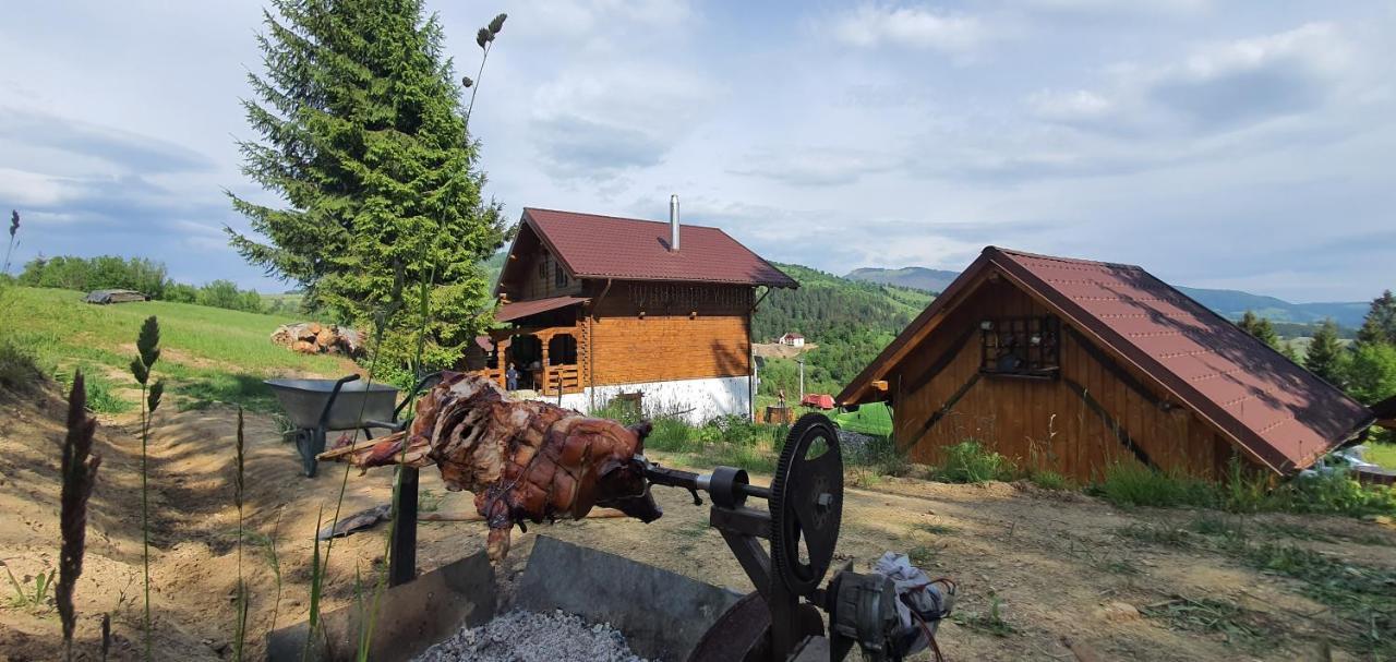 Tulean Cabin Săcel Εξωτερικό φωτογραφία